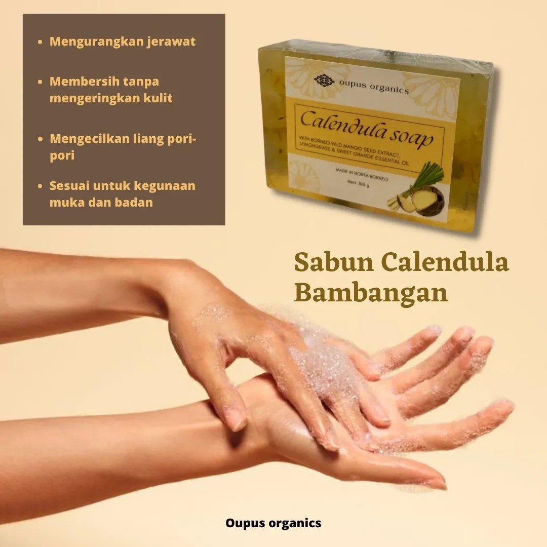 Calendula Bambangan Soap - Best Light Arts in HD